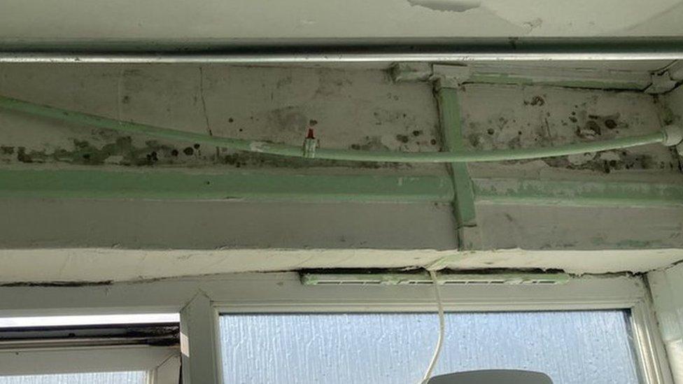 Mould above window in flat