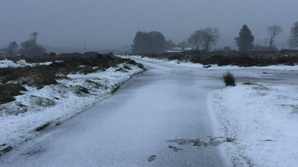 Untreated road near Foel Cwm Cerwyn, Pembs