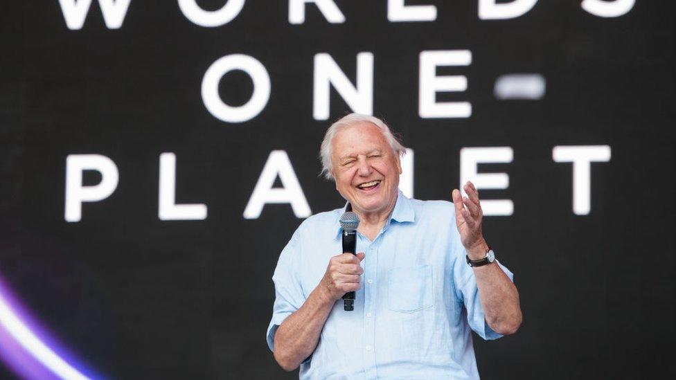 David Attenborough