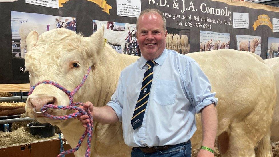 David Connolly with his blond Charolais bull, Balmyle, Sandy