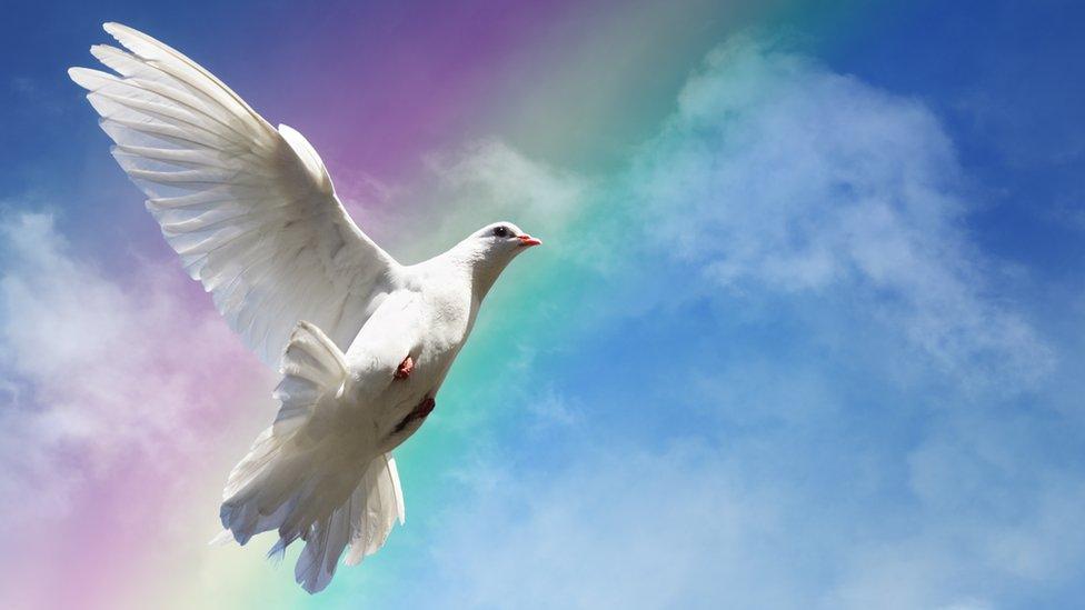 A picture of a dove flying in front of a rainbow.