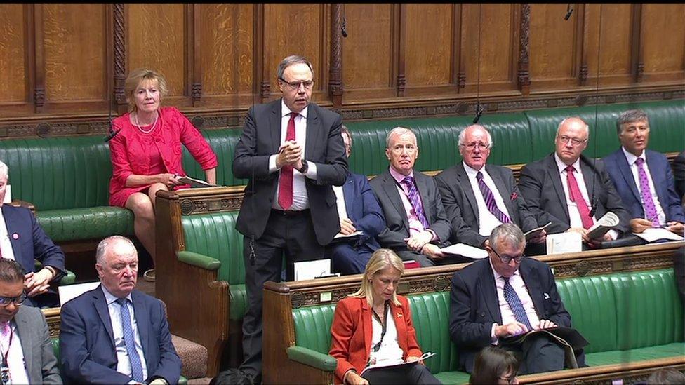 Nigel Dodds addressing the House of Commons in Westminster