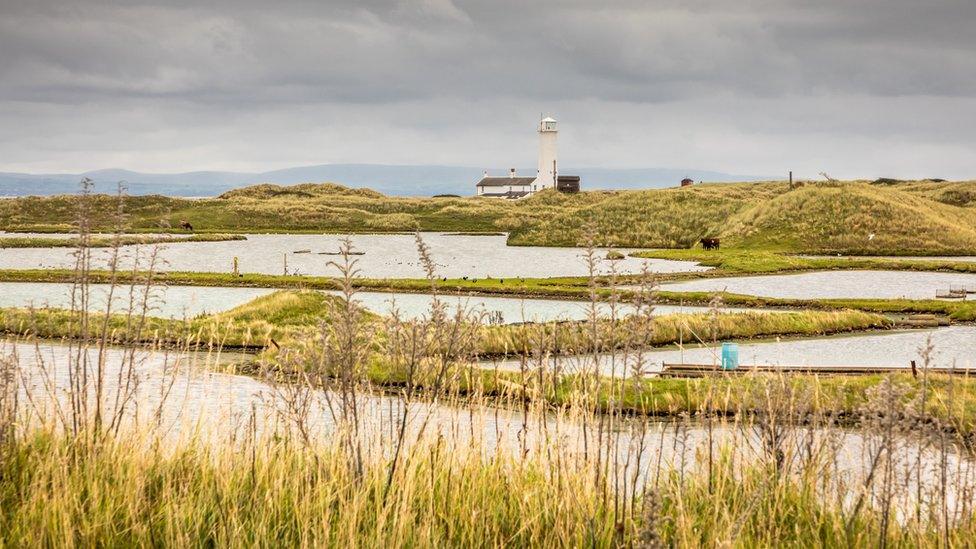 Walney Island nature reserve and lighthouse