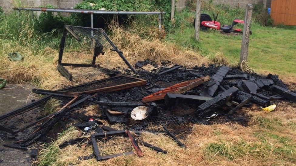 Remains of guinea pig hutch after arson attack