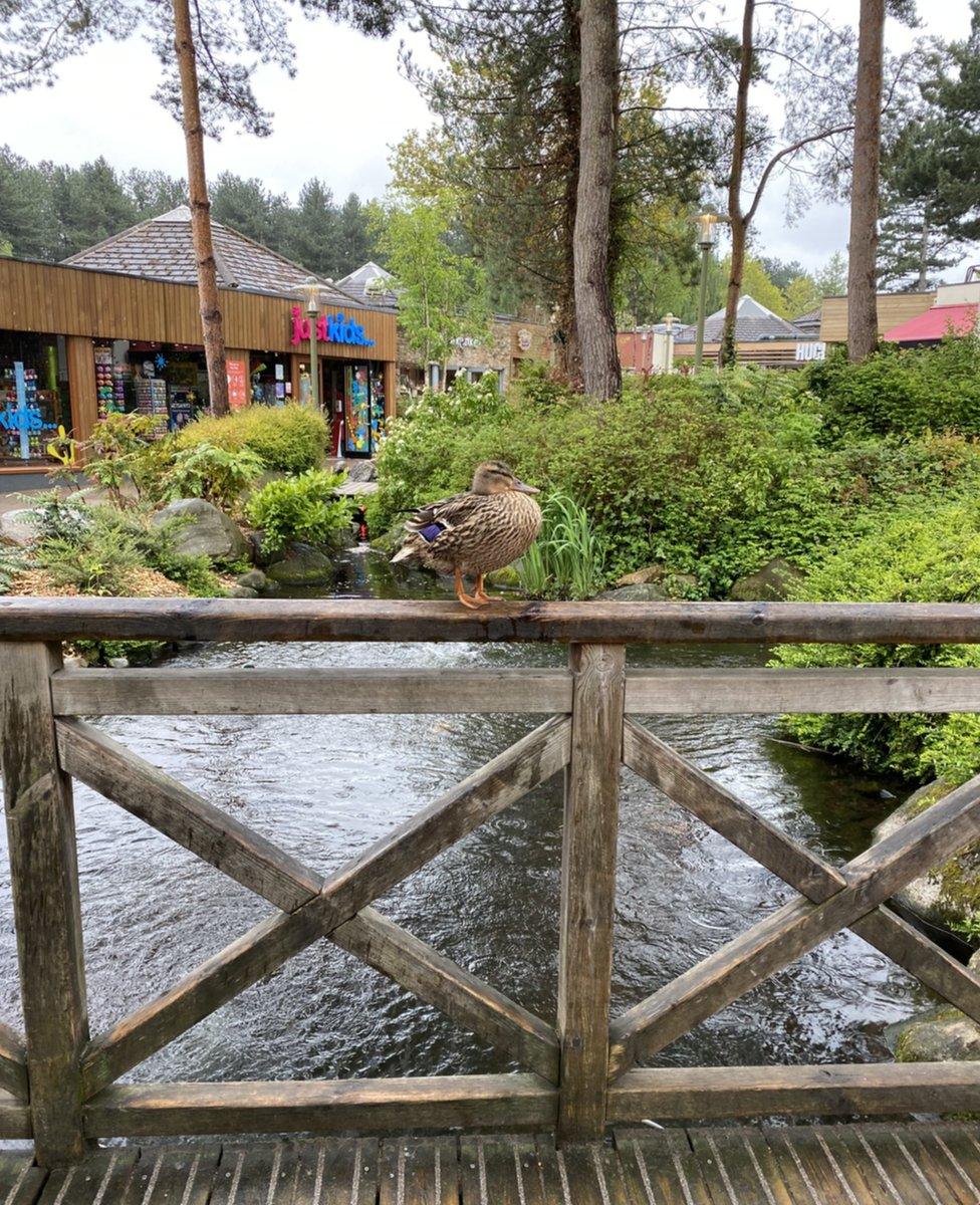 Photo of Center Parcs in Nottinghamshire