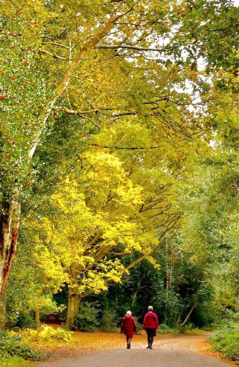 Walkers on Ryknield Street in Sutton Park