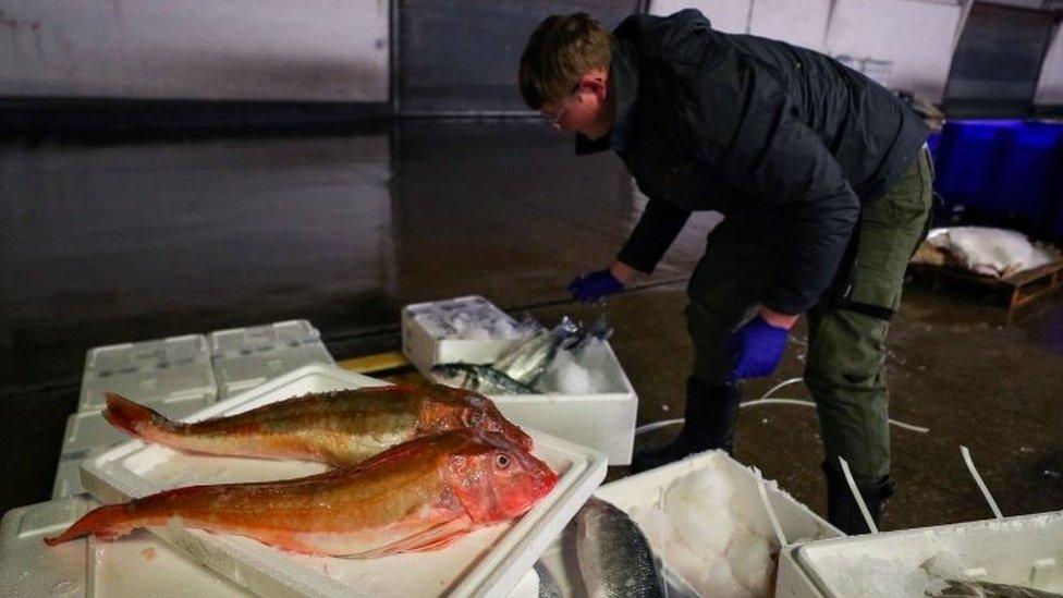 Fleetwood fish market