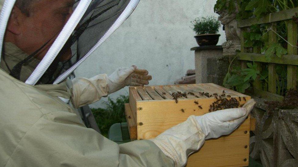 Chris Hickman with his hive in Tywyn