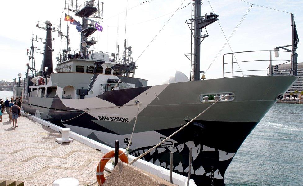 Sea Shepherd's ship, the Sam Simon, moored in Sydney in 2013