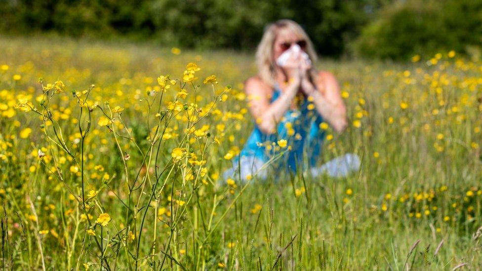 Collection traps have been deployed across the UK to capture pollen