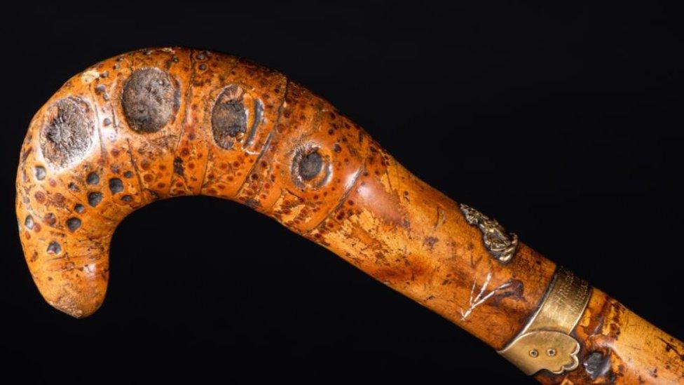 Maharajah's walking stick