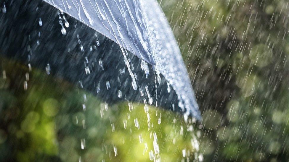 Rain on an umbrella