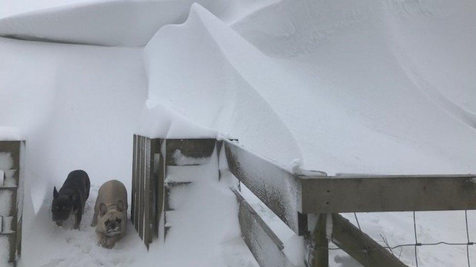 A deep snowdrift covers a property