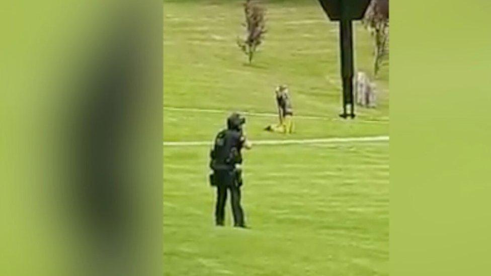 Armed police officer arrest man at Cwmdonkin Park