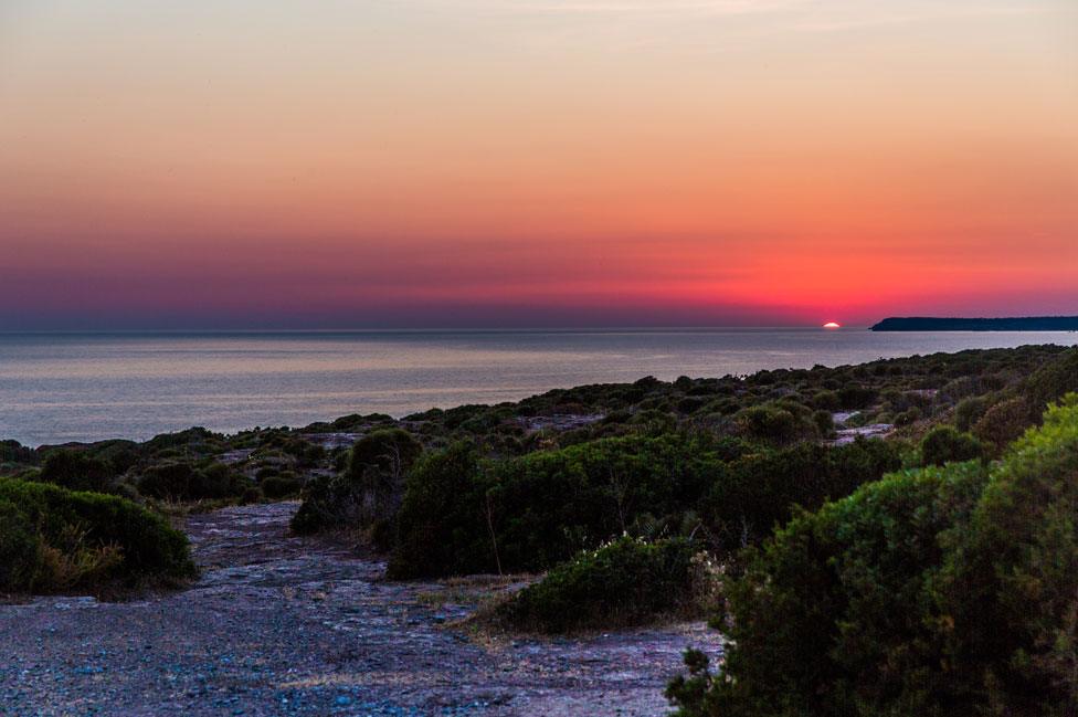 Sunset