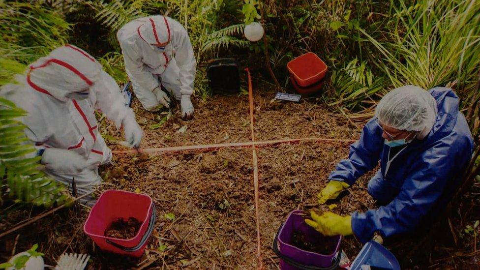 Grace Millane was found buried in the Waitakere Ranges, near Auckland