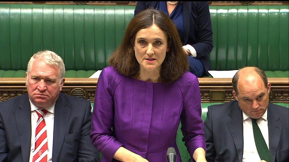 Theresa Villiers