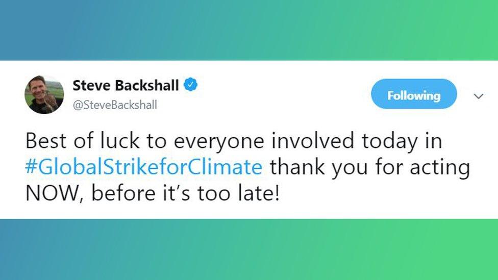 Screengrab of Steve Backshall tweet.