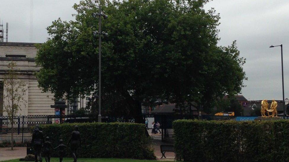 London Plane tree in Broad Street