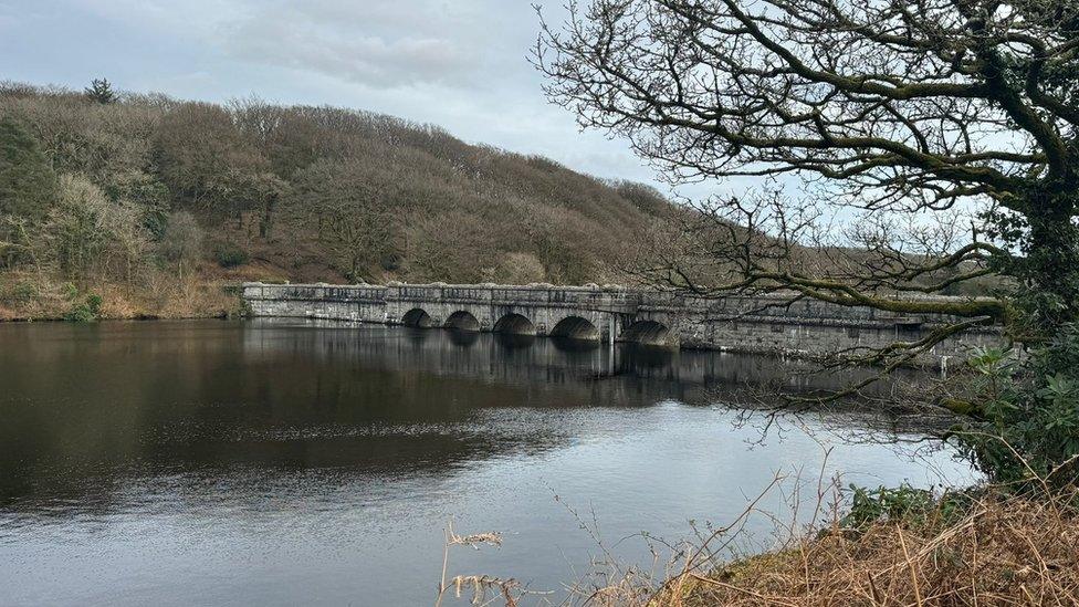 Burrator Reservoir near Plymouth