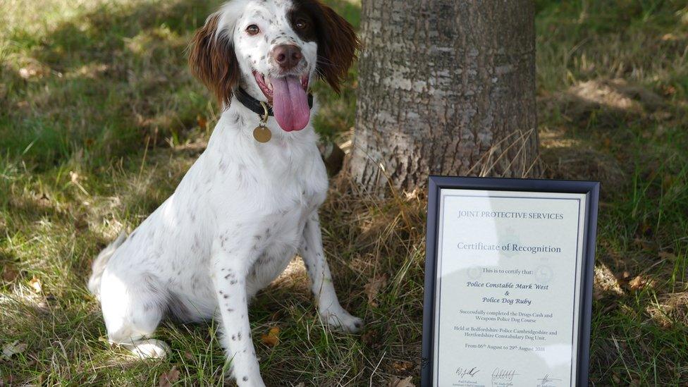 Ruby and her certificate