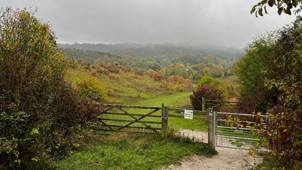 Grangelands & The Rifle Range nature reserve