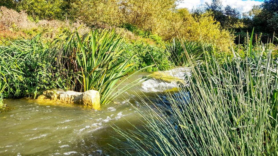 The new Thames channel at Chimney Meadows Nature Reserve