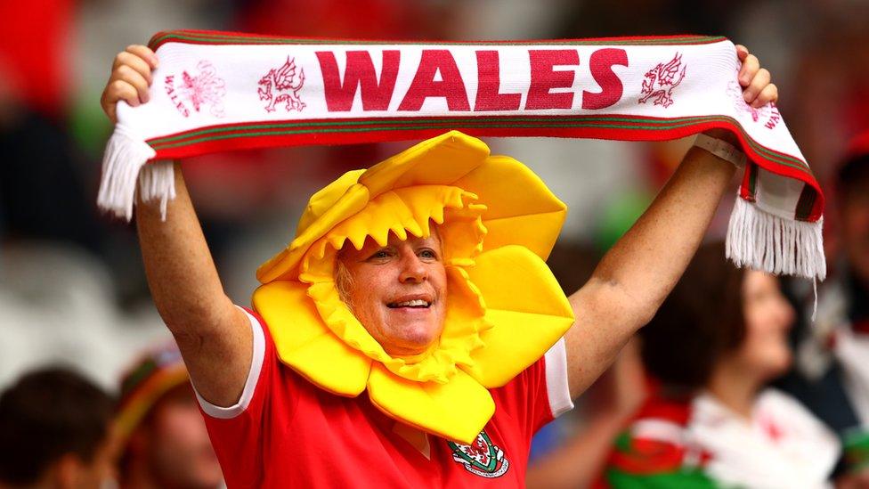 Wales fan at the Stade Pierre Mauroy in Lille