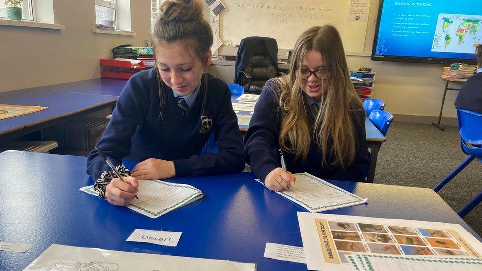 Pupils working at their desk