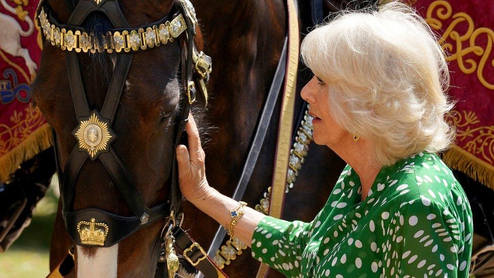 Queen Camilla and Juno