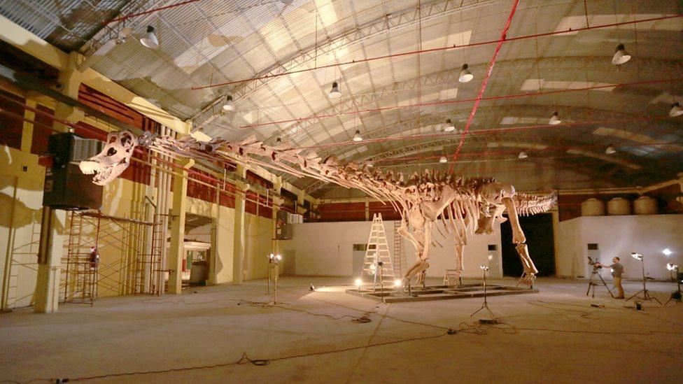 Titanosaur reconstruction