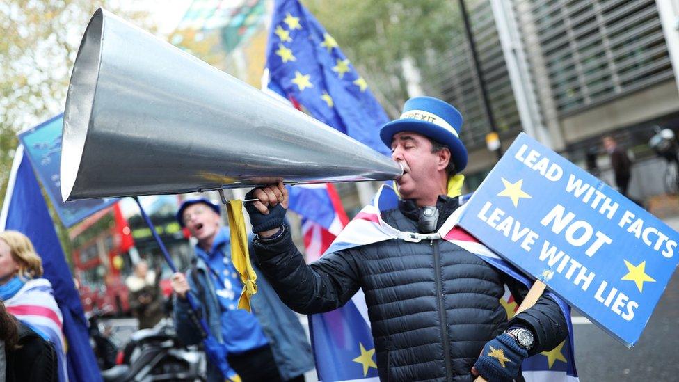 Anti-Brexit protester Steve Bray