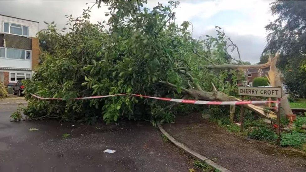 Damaged caused by a storm in Cherry Croft, Littlehampton