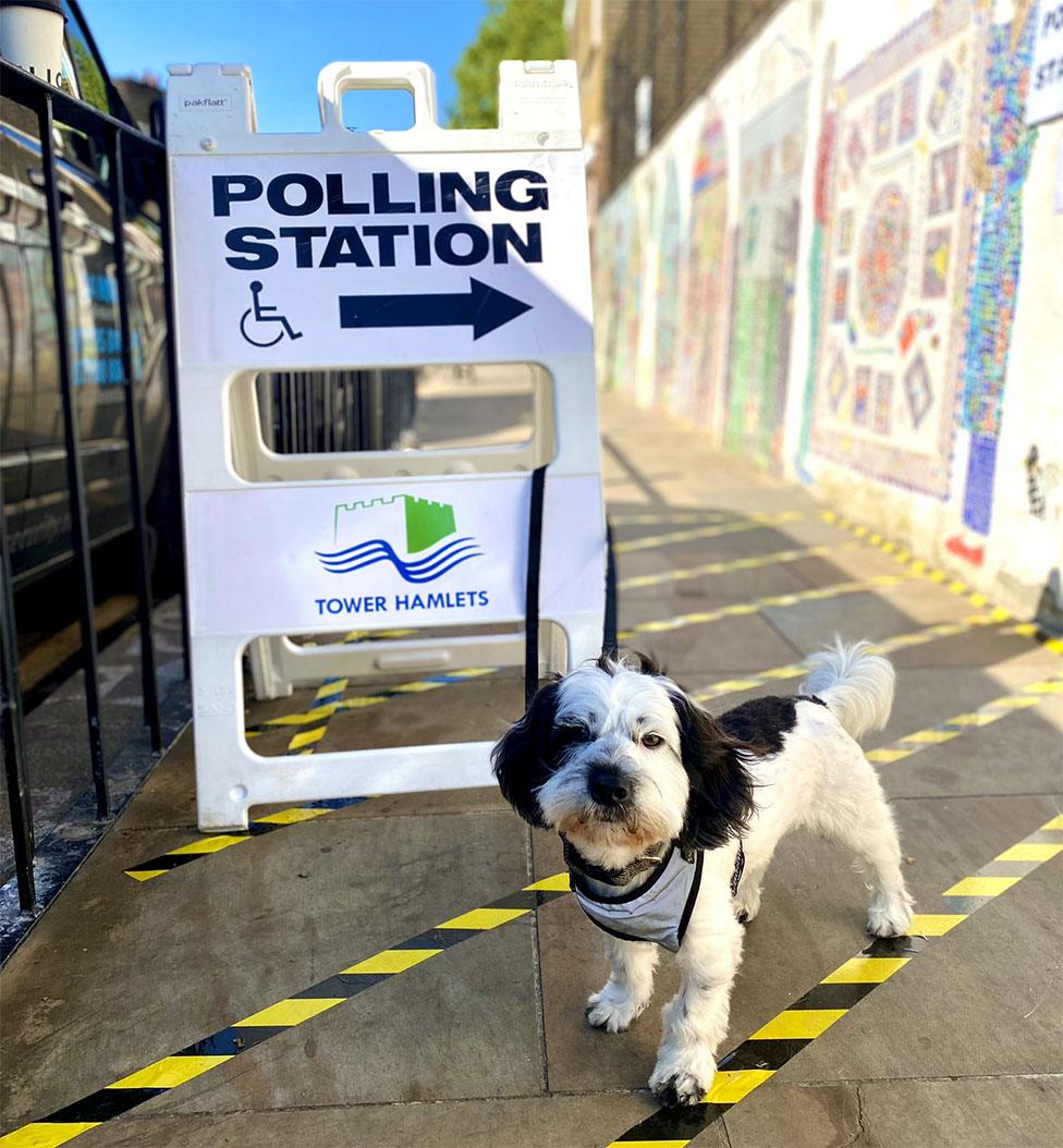 A dog poses next to a polling station sign in the London Borough of Tower Hamlets