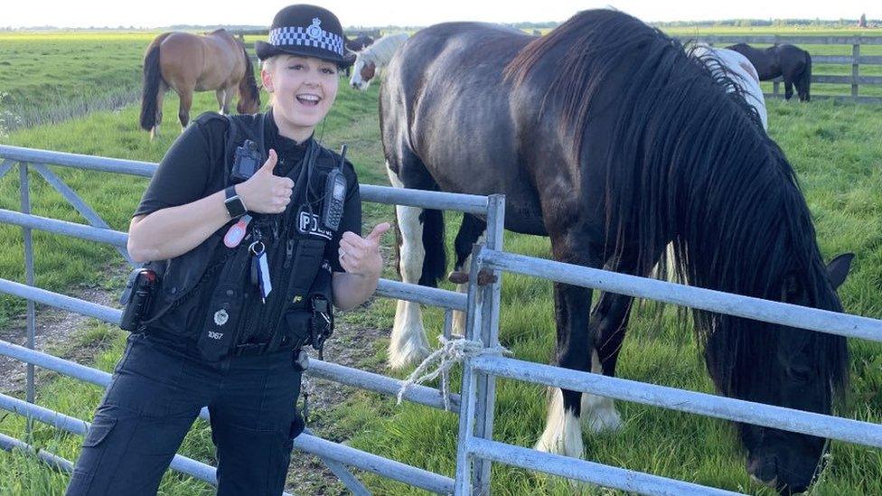 Police officer with a horse