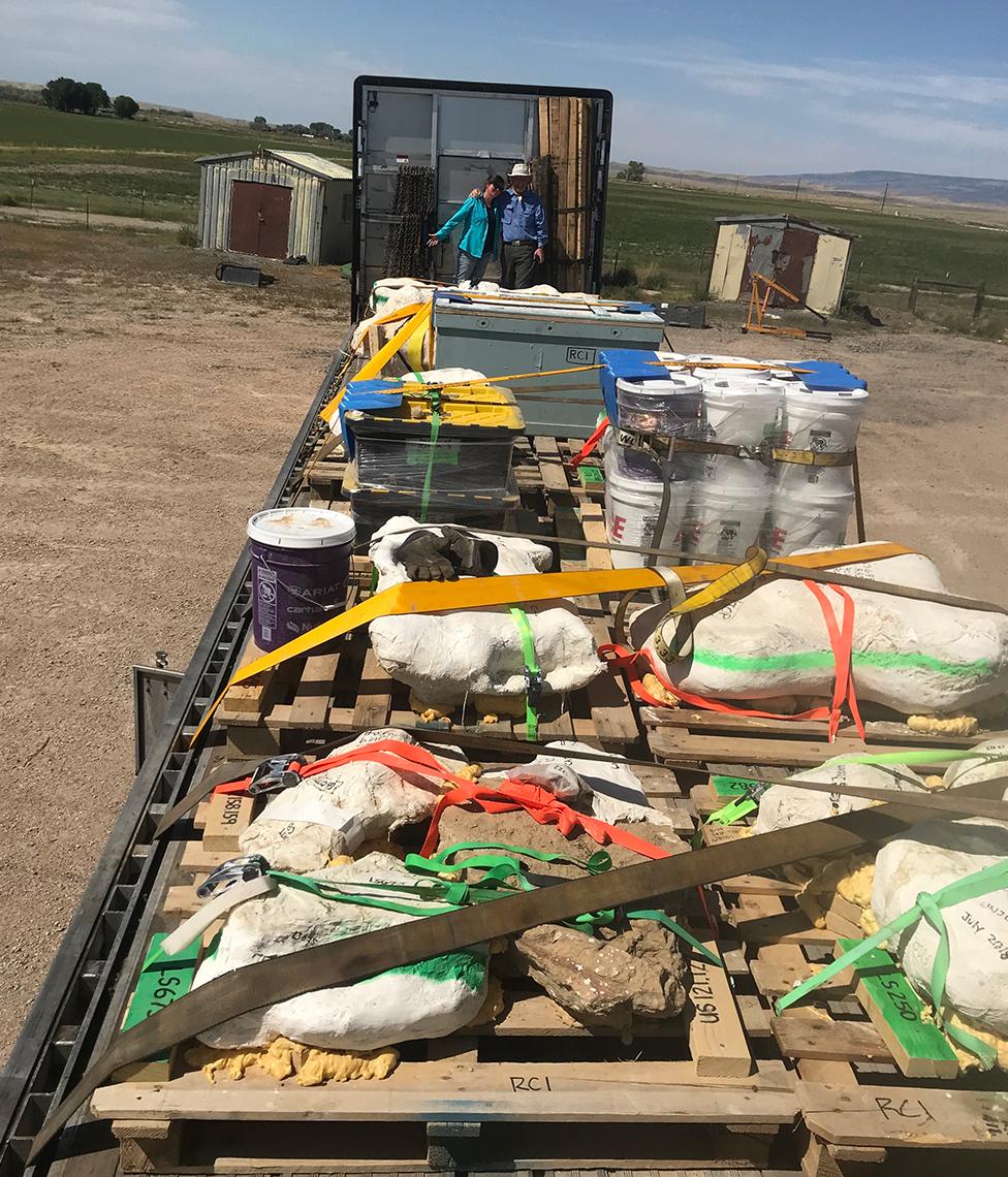 Truck with jacketed fossils