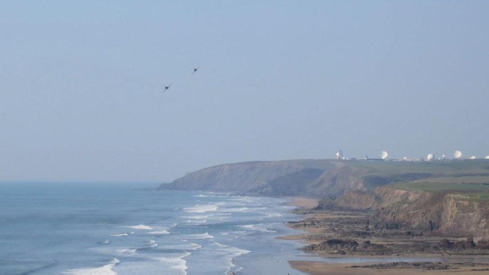 hawks flying by cliff