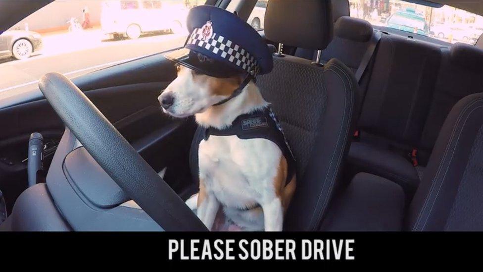 Still from Wellington Police's road safety video