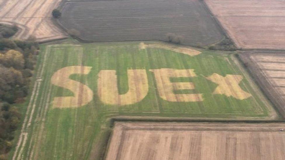 Sue in field