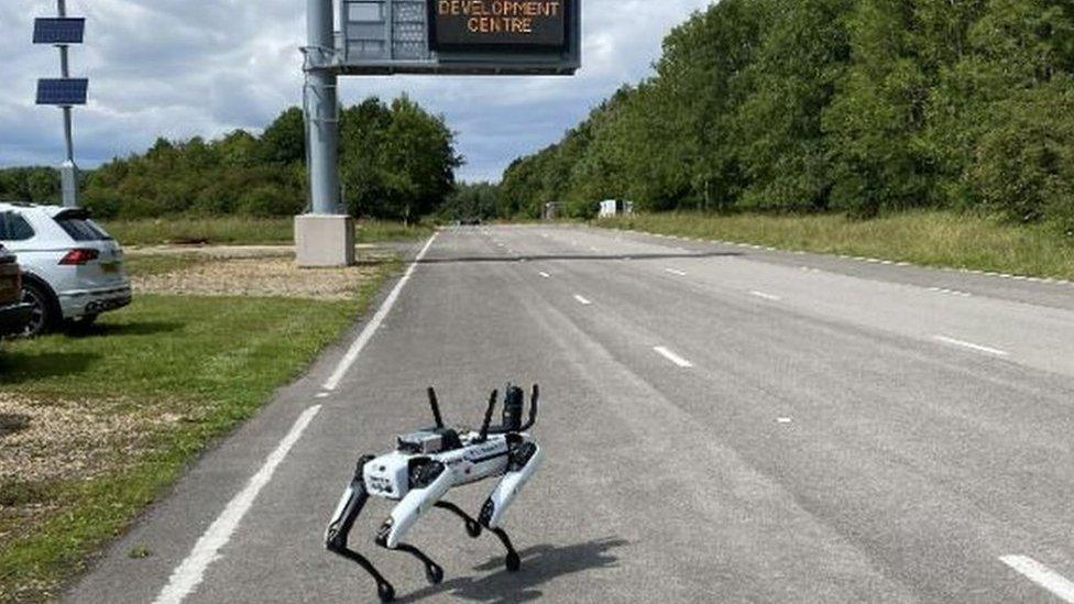 A robot dog walking along a test stretch of motorway