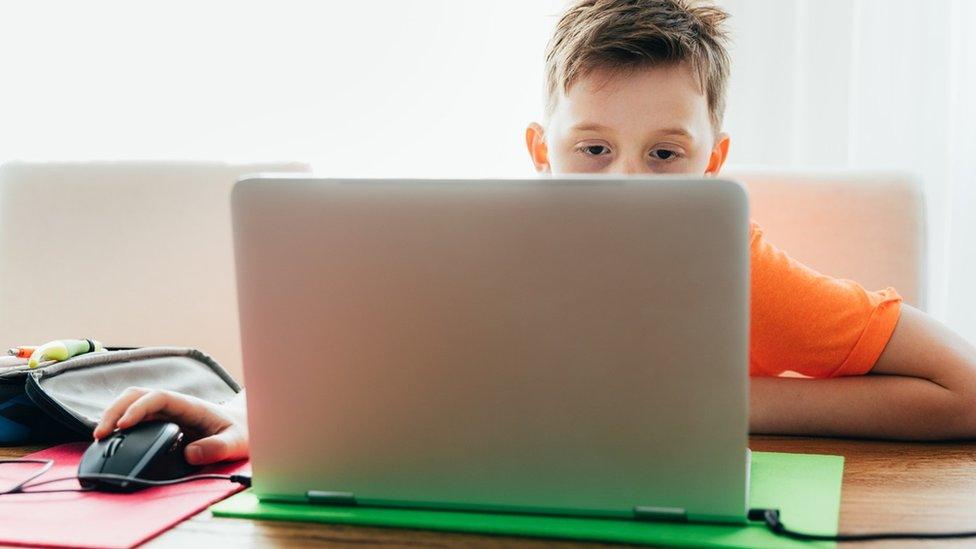 Boy at laptop at home