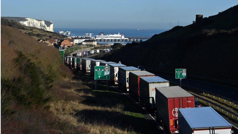 Dover lorry queue