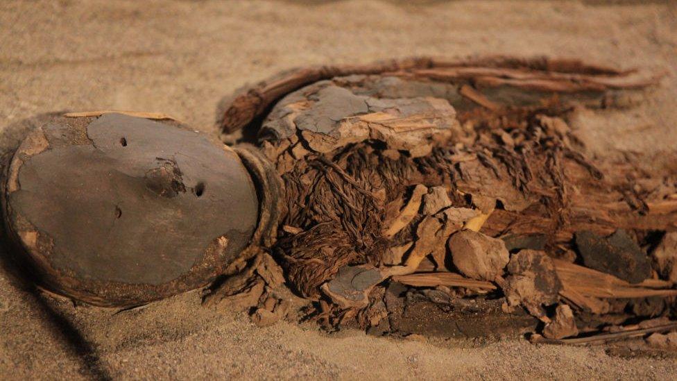 Chinchorro mummy on display in the Chilean Museum of Pre-Columbian Art in Santiago, Chile.