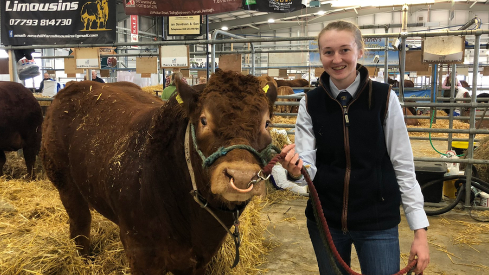 A young woman standing next to a cow at the Balmoral Show, inside a large hanger-like indoor area