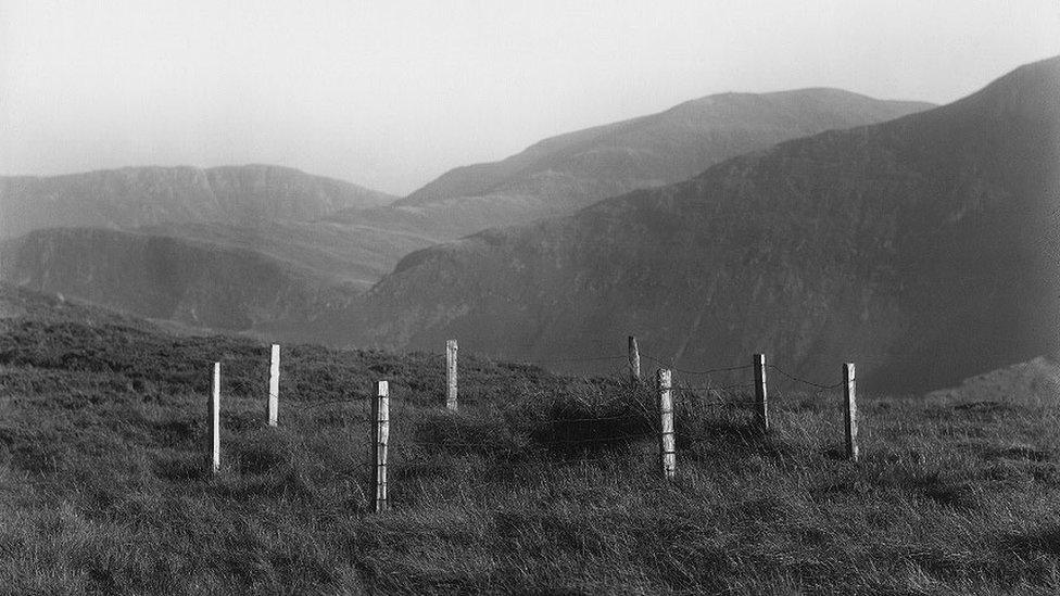 Posts, Ard Crag, Newlands