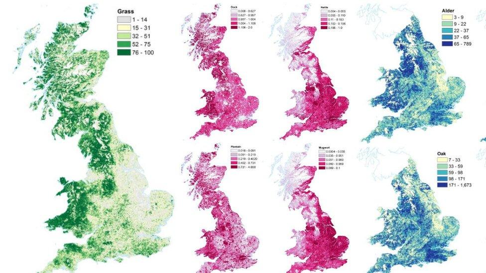 Map showing pollen levels around Great Britain