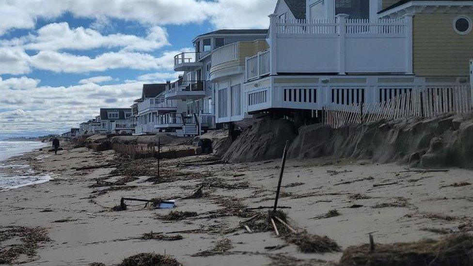 The protective sand dune project on Salisbury beach