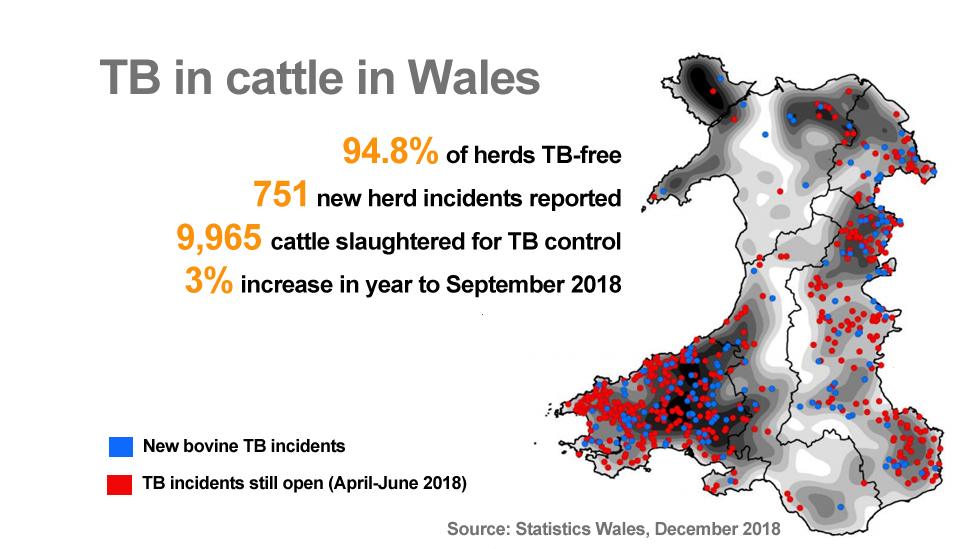 TB map