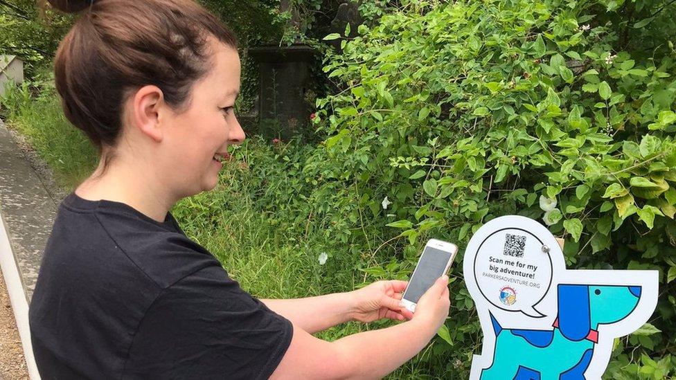 Woman scanning code on dog