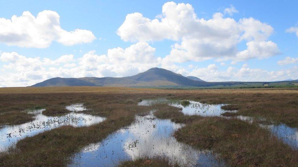 Talamh mòintich